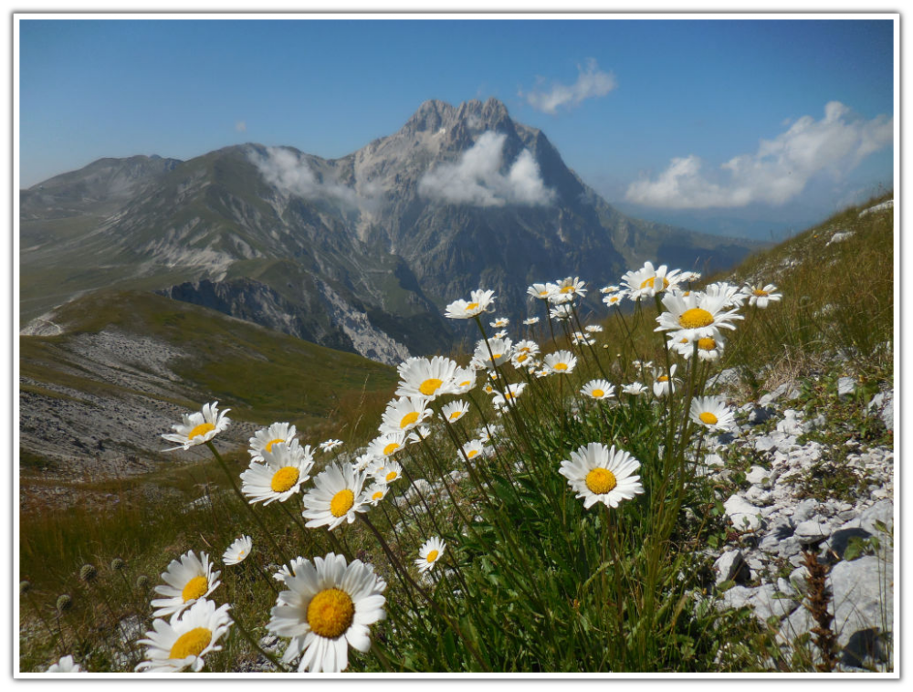Foto: Corno Grande - Simona Salvatore Foto del mese di Luglio 2019 del Calendario del CAI Sez. Fara San Martino.